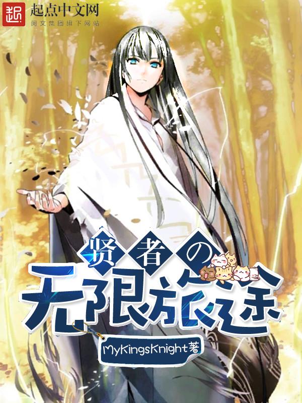 贤者的无限旅途 贤者的无限旅途