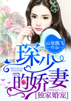 独家婚宠:琛少的娇妻 独家婚宠:琛少的娇妻