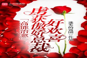 高能治愈:虏获傲娇总裁好欢喜 高能治愈:虏获傲娇总裁好欢喜