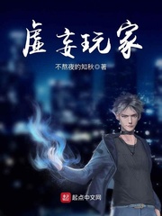 虚妄玩家 虚妄玩家