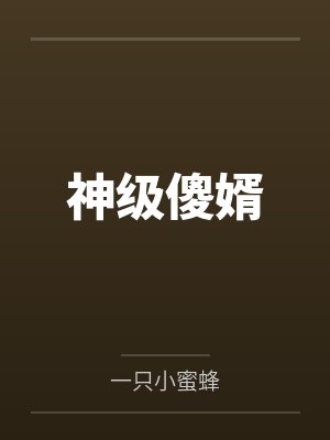 神级傻婿
