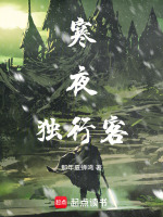 寒夜独行客 寒夜独行客