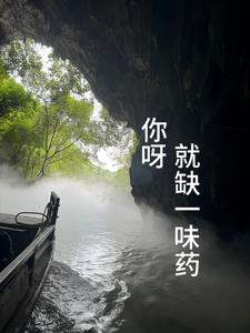 你呀就缺一味药 你呀就缺一味药