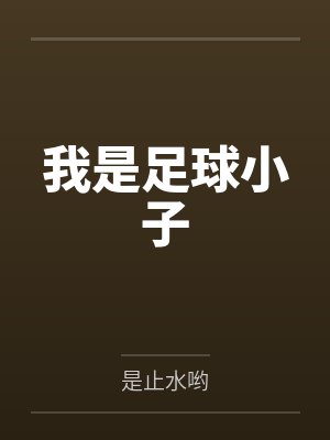 我是足球小子