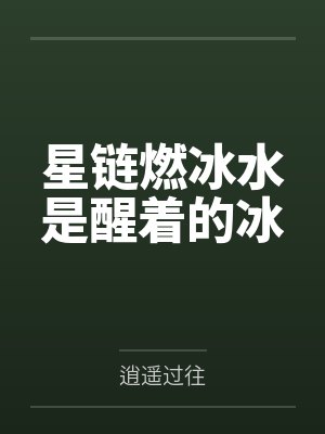星链燃冰水是醒着的冰 星链燃冰水是醒着的冰