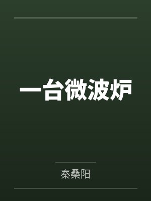 一台微波炉 一台微波炉